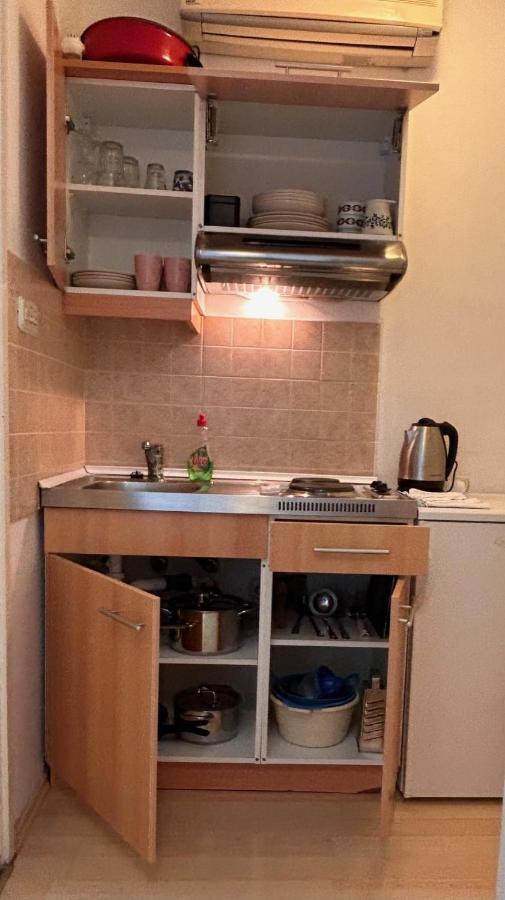 Apartment Alfirev ヴォディツェ エクステリア 写真